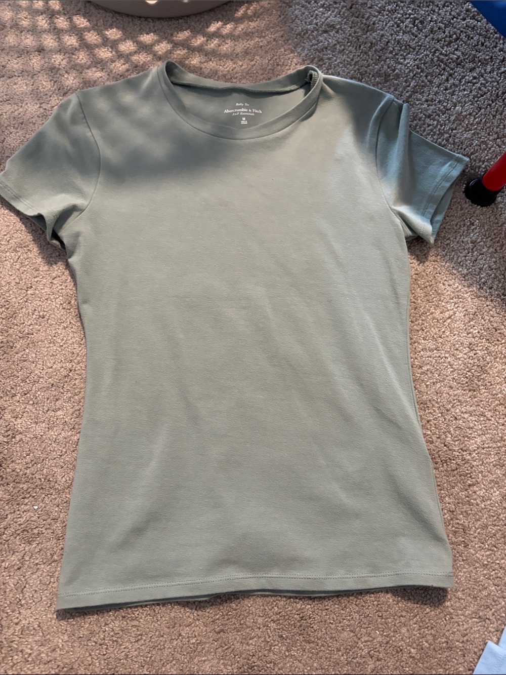 Abercrombie & Fitch Women's Light Sage Short Sleeve Tee